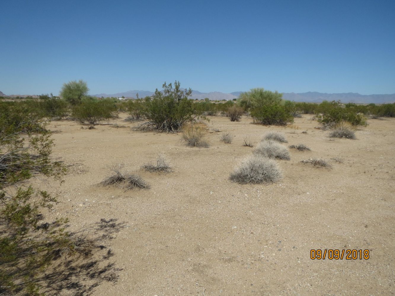 Lot 36A& Douglas Ln: Douglas Ln, Yucca, AZ 86438